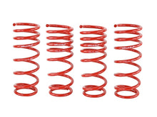 Load image into Gallery viewer, Skunk2 00-04 Honda S2000 Lowering Springs (2.00in. - 1.80in.) (Set of 4)