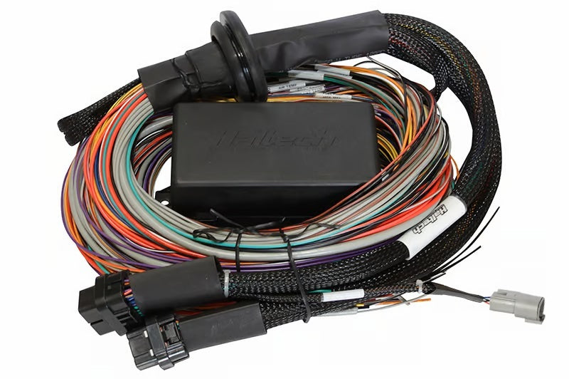 Haltech Elite 2500 & 2500 T 16ft Premium Universal Wire-In Harness