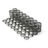 Brian Crower Honda/Acura K20A/K20Z F20C/F22C-High Mileage Dual Spring & Steel Alloy Retainer Kit - N